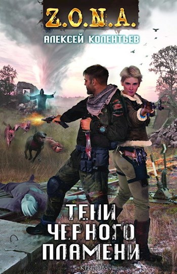 Обложка книги Тени Чёрного Пламени