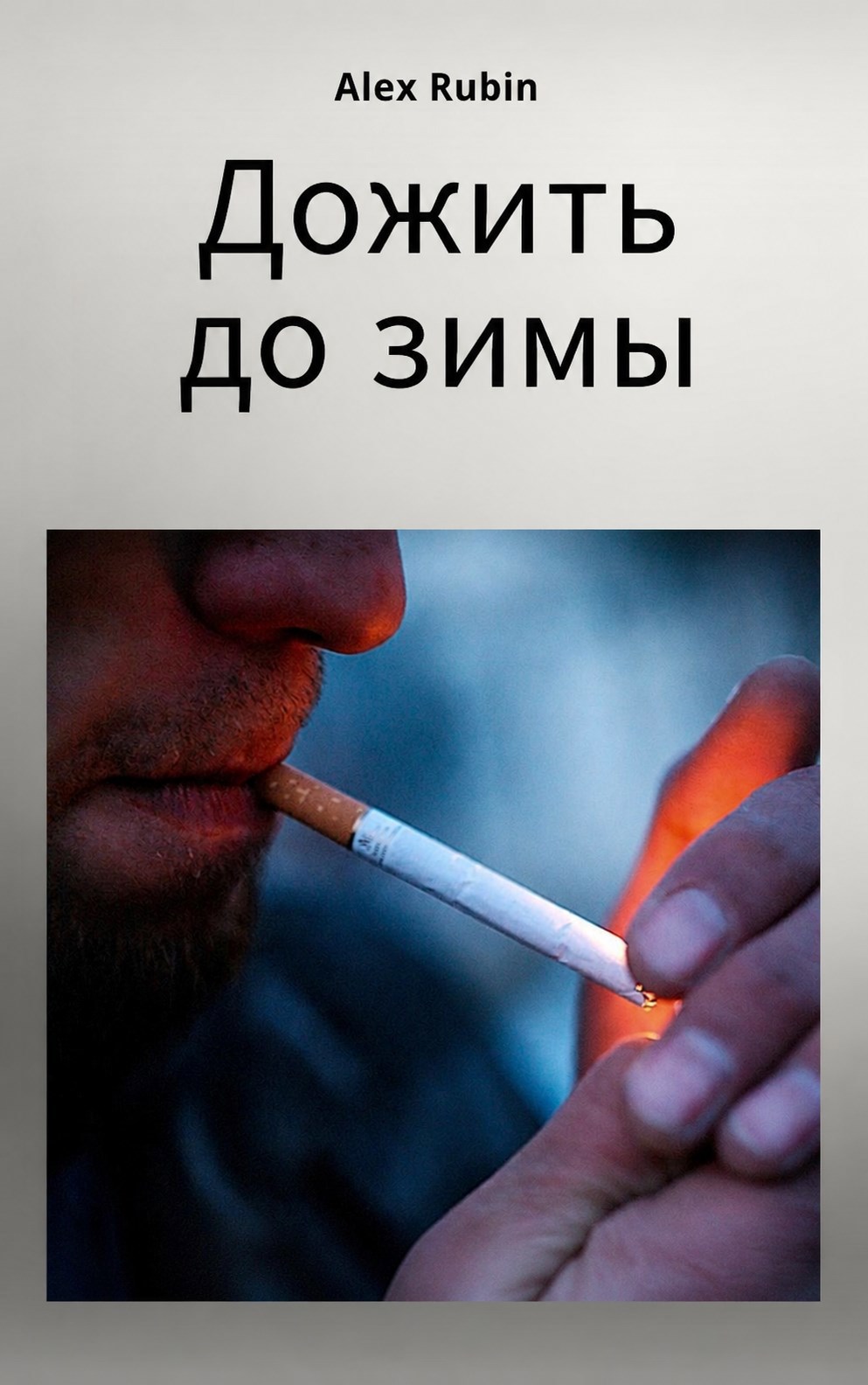 Обложка книги Дожить до зимы