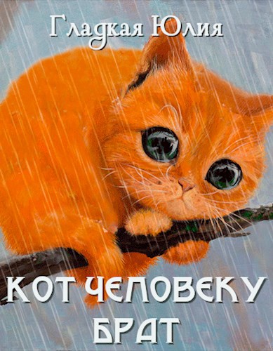 Обложка книги Кот человеку Брат