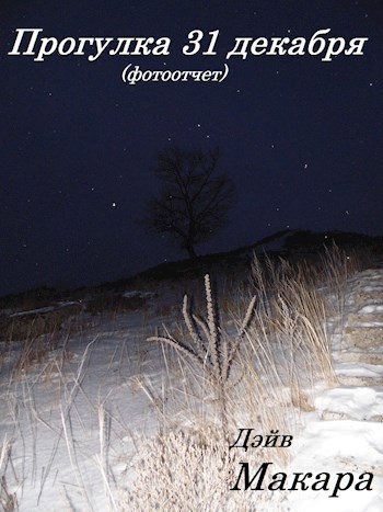 Обложка книги Прогулка 31 декабря (фотоотчет)