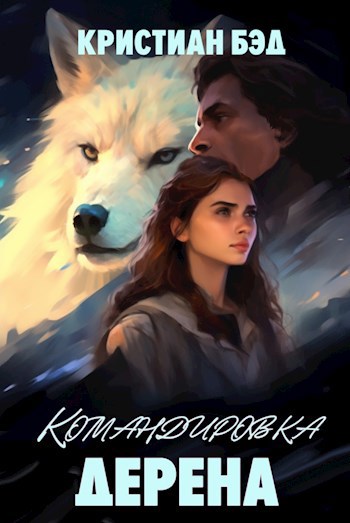 Обложка книги Командировка Дерена