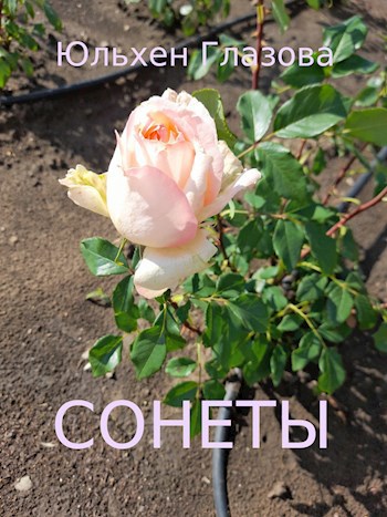 Обложка книги Сонеты
