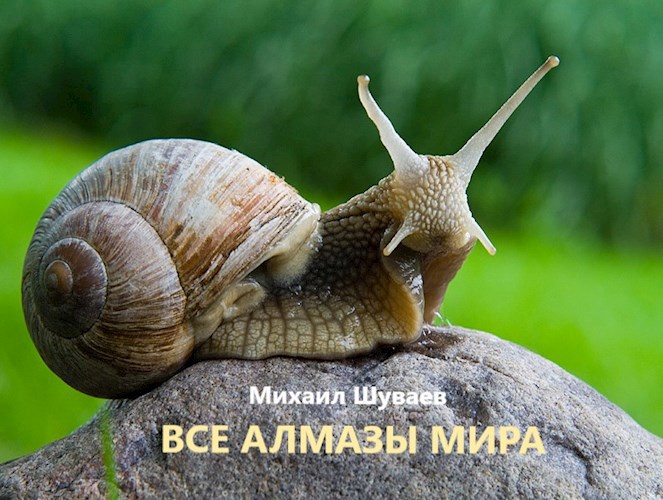 Обложка книги Все алмазы мира