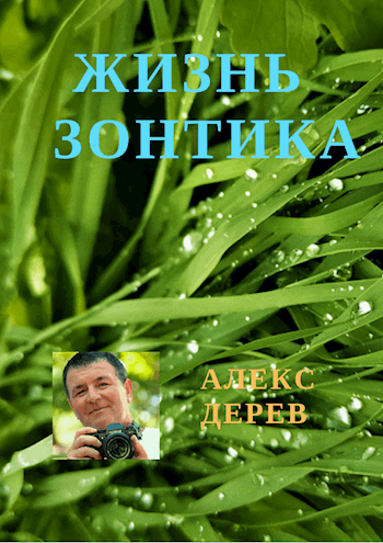 Обложка книги Жизнь зонтика