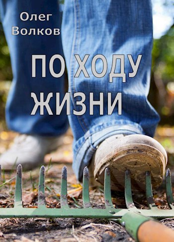 Обложка книги По ходу жизни