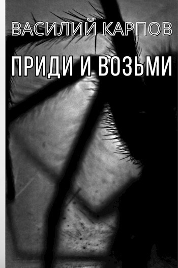 Обложка книги Приди и возьми