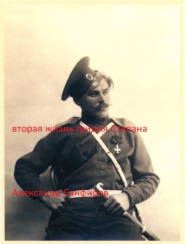 Обложка книги Вторая жизнь гридня Степана