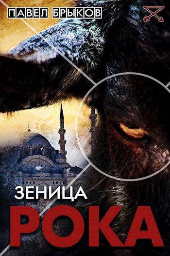 Обложка книги Зеница рока