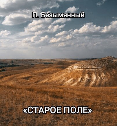 Обложка книги Старое Поле