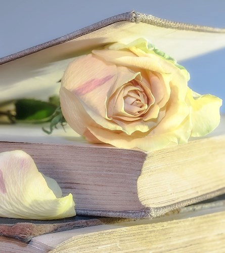 Обложка книги Рассказ о старой доброй сказке