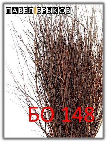 Обложка книги БО 148