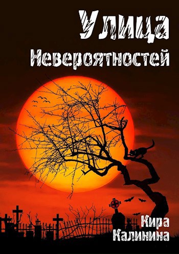 Обложка книги Улица Невероятностей