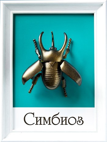 Обложка книги Симбиоз