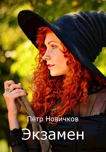 Обложка книги Экзамен