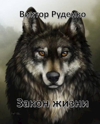Обложка книги Закон жизни