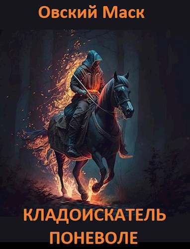 Обложка книги Кладоискатель поневоле