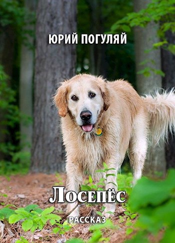 Обложка книги Лосепёс