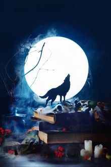 Обложка книги Санитар