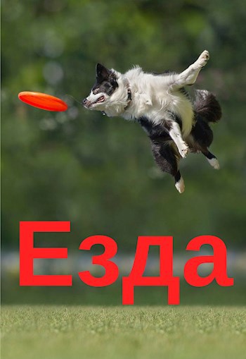 Обложка книги Езда