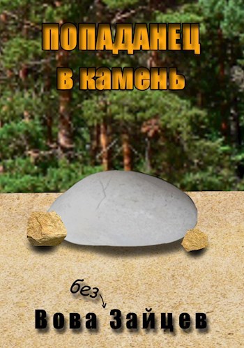 Обложка книги Попаданец в камень