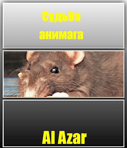 Обложка книги Судьба анимага