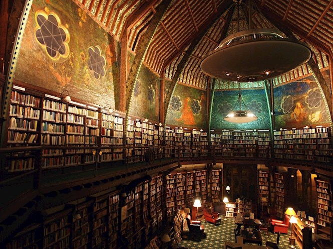 Обложка книги Подарок профессора.