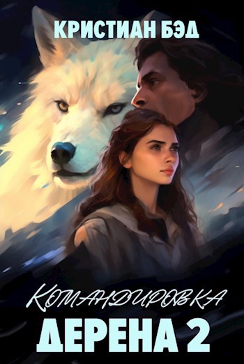 Обложка книги Командировка Дерена 2