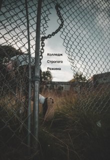 Обложка книги Колледж строгого режима