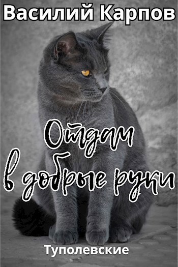 Обложка книги Отдам в добрые руки