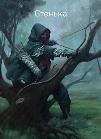 Обложка книги Стенька