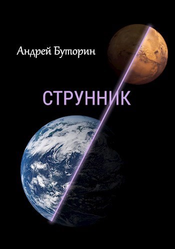 Обложка книги Струнник