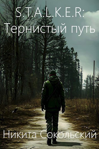 Обложка книги S.T.A.L.K.E.R: Тернистый путь