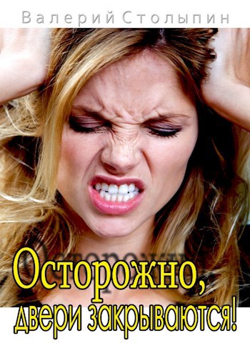 Обложка книги Осторожно, двери закрываются!