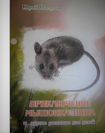 Обложка книги Приключение мышонка Пина