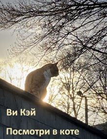 Обложка книги Посмотри в коте