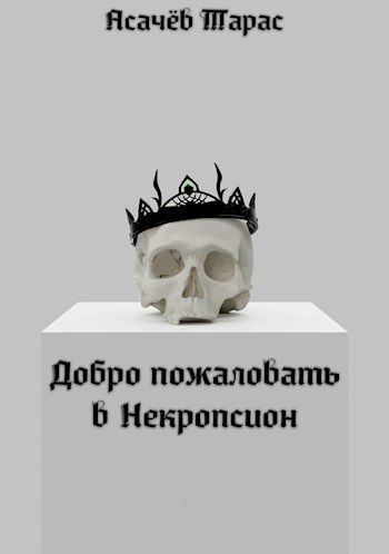 Обложка книги Добро пожаловать в Некропсион
