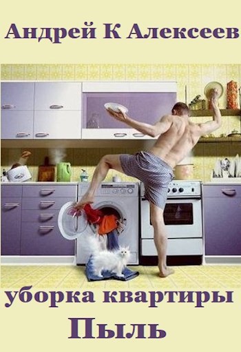 Обложка книги Уборка квартиры "Пыль"