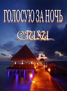 Обложка книги Голосую за ночь