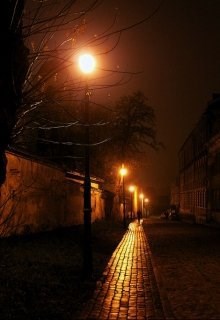 Обложка книги Ночь, улица, фонарь