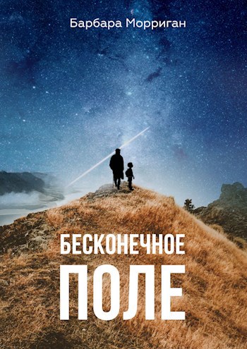 Обложка книги Бесконечное поле