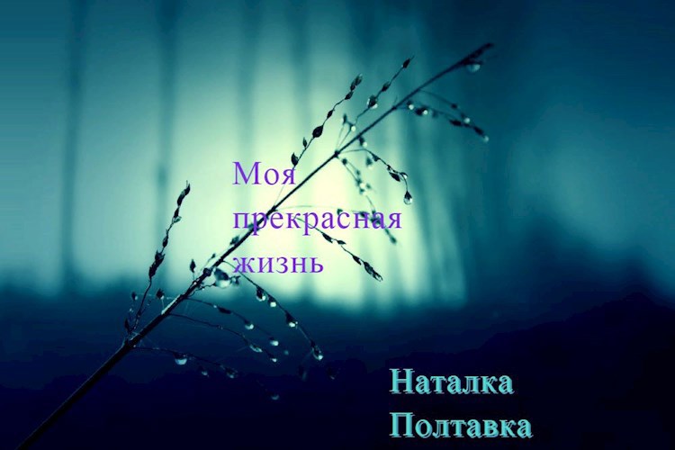 Обложка книги Моя прекрасная жизнь