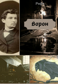 Обложка книги Ворон