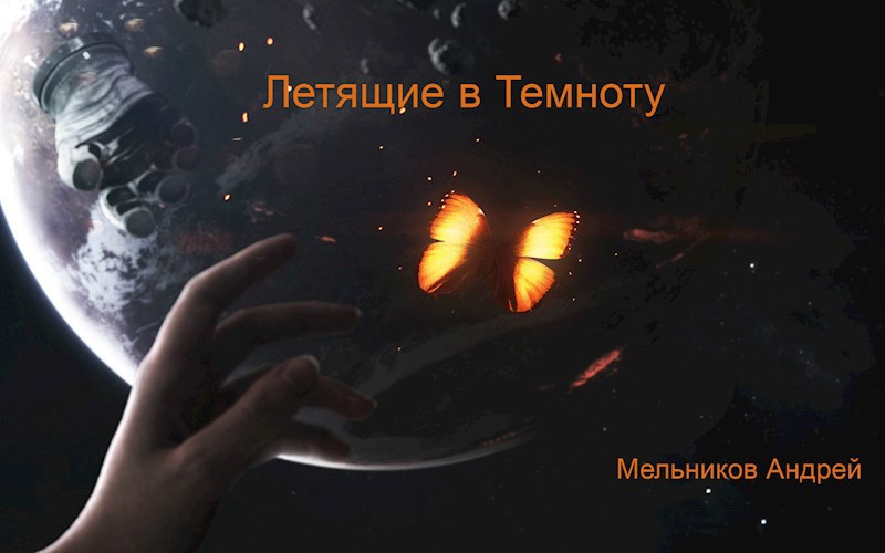 Обложка книги Летящие в Темноту
