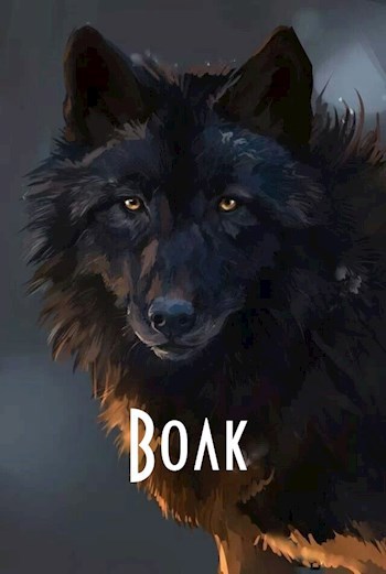 Обложка книги Волк