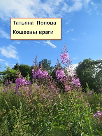 Обложка книги КОЩЕЕВЫ ВРАГИ