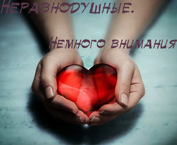 Обложка книги Немного внимания
