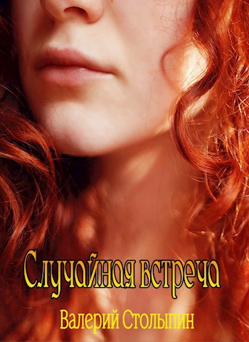 Обложка книги Случайная встреча