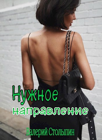 Обложка книги Нужное направление