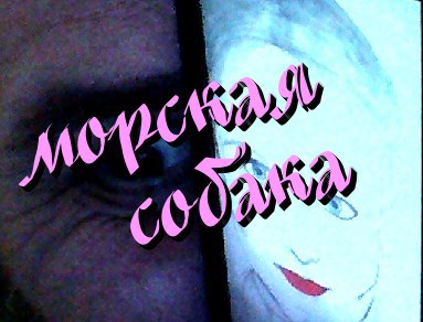 Обложка книги Морская собака.