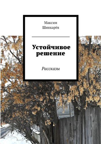 Обложка книги Устойчивое решение